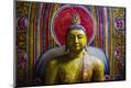 Premium Photographic Print