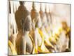 Premium Photographic Print