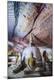 Premium Photographic Print