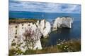Premium Photographic Print