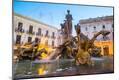 Photographic Print