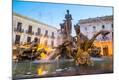Photographic Print