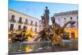 Photographic Print