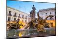 Photographic Print