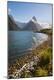 Premium Photographic Print
