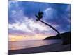 Premium Photographic Print