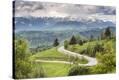 Stretched Canvas Print