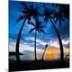 Photographic Print