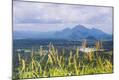 Photographic Print
