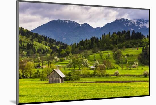 Photographic Print, , large