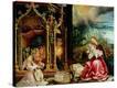 Stretched Canvas Print