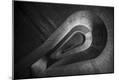 Premium Photographic Print