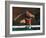 Mature Athlete Competes in Hurdles Race, Atlanta, Georgia, USA-Paul Sutton-Framed Photographic Print