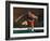 Mature Athlete Competes in Hurdles Race, Atlanta, Georgia, USA-Paul Sutton-Framed Photographic Print