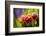 Mature beauty-Helen White-Framed Photographic Print