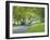 Mature Beech Trees (Fagus Sylvatica)-Adrian Bicker-Framed Photographic Print