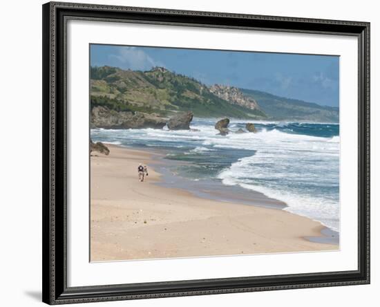 Mature Couple Walking on Bathsheba Beach, Barbados, Windward Islands, West Indies, Caribbean-Michael DeFreitas-Framed Photographic Print