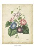 Victorian Bouquet I-Maubert-Art Print