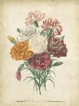 Victorian Bouquet I-Maubert-Framed Art Print