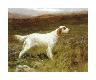 Premium Giclee Print