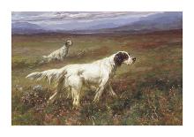 Cairn Terrier-Maud Earl-Premium Giclee Print