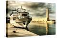 Stretched Canvas Print