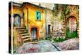 Stretched Canvas Print