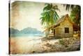 Stretched Canvas Print