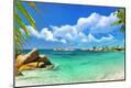 Photographic Print
