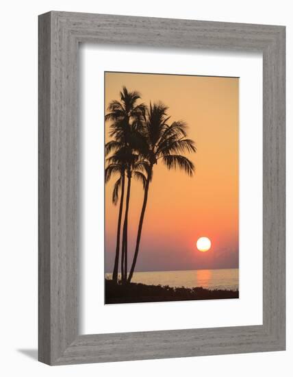 Maui, Hawaii, USA. Palm trees at sunset.-Stuart Westmorland-Framed Photographic Print