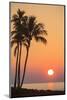 Maui, Hawaii, USA. Palm trees at sunset.-Stuart Westmorland-Mounted Photographic Print