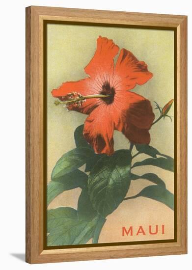 Maui, Hibiscus Blossom-null-Framed Stretched Canvas