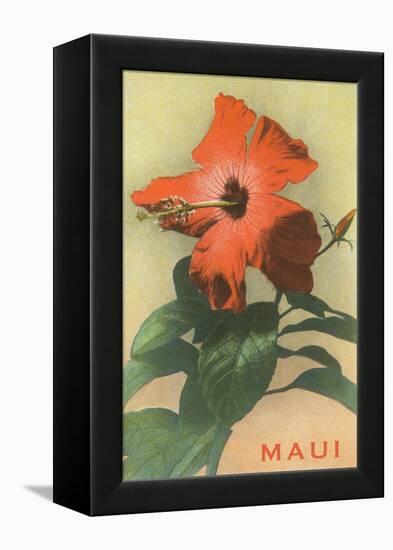 Maui, Hibiscus Blossom-null-Framed Stretched Canvas