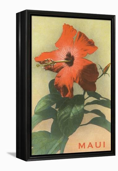 Maui, Hibiscus Blossom-null-Framed Stretched Canvas