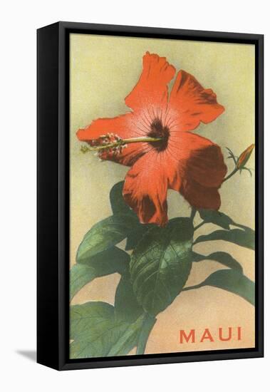 Maui, Hibiscus Blossom-null-Framed Stretched Canvas