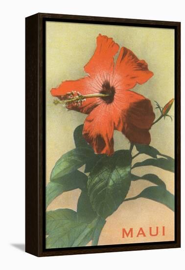 Maui, Hibiscus Blossom-null-Framed Stretched Canvas