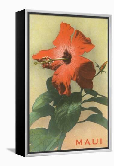 Maui, Hibiscus Blossom-null-Framed Stretched Canvas