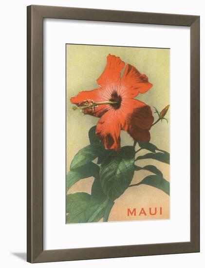 Maui, Hibiscus Blossom-null-Framed Art Print