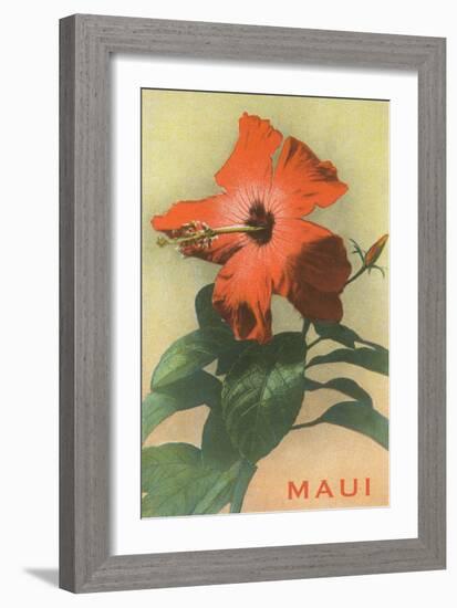 Maui, Hibiscus Blossom-null-Framed Art Print