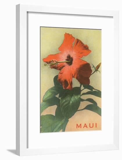 Maui, Hibiscus Blossom-null-Framed Art Print