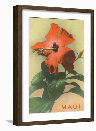 Maui, Hibiscus Blossom-null-Framed Art Print