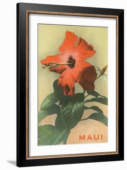 Maui, Hibiscus Blossom-null-Framed Art Print