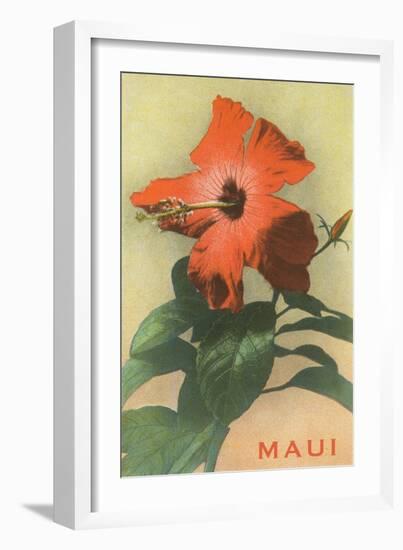 Maui, Hibiscus Blossom-null-Framed Art Print