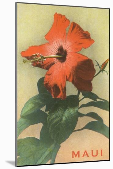 Maui, Hibiscus Blossom-null-Mounted Art Print