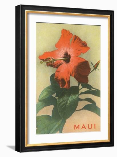 Maui, Hibiscus Blossom-null-Framed Art Print