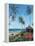 Maui Morning-Scott Westmoreland-Framed Stretched Canvas