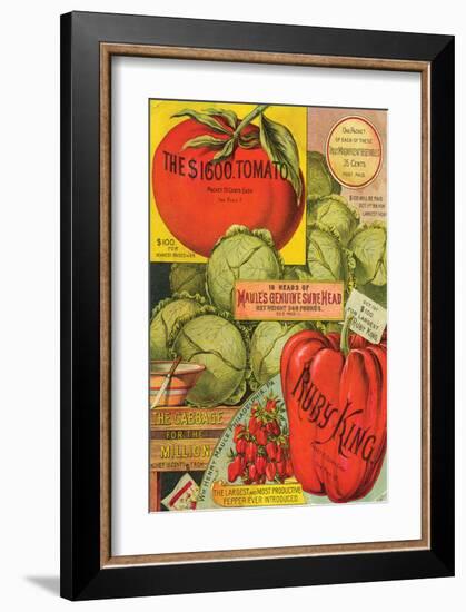 Maule Seed Book Philadelphia-null-Framed Premium Giclee Print