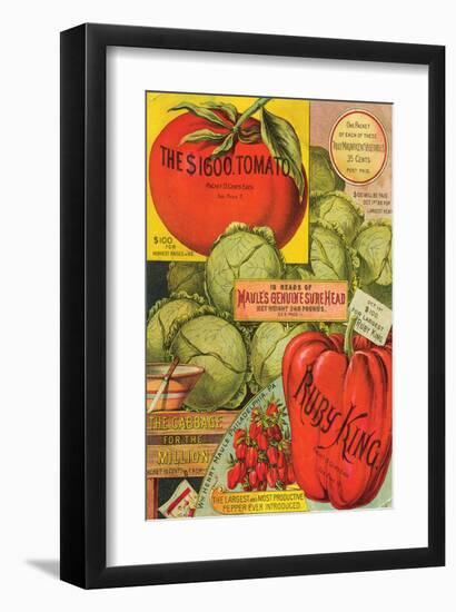 Maule Seed Book Philadelphia-null-Framed Premium Giclee Print