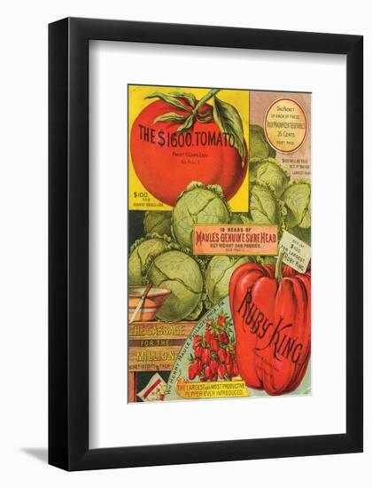 Maule Seed Book Philadelphia-null-Framed Art Print