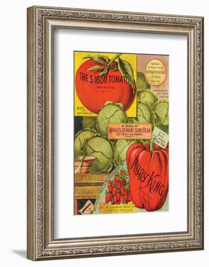 Maule Seed Book Philadelphia-null-Framed Art Print